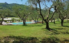 Il Vecchio Gelso - Agriturismo Rimini Montefiore Conca