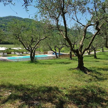 Il Vecchio Gelso - Agriturismo Rimini Montefiore Conca Villa Esterno foto