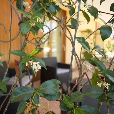 Il Vecchio Gelso - Agriturismo Rimini Montefiore Conca Villa Esterno foto