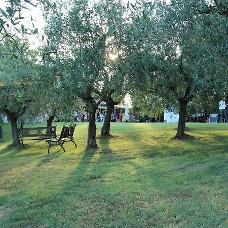 Il Vecchio Gelso - Agriturismo Rimini Montefiore Conca Villa Esterno foto