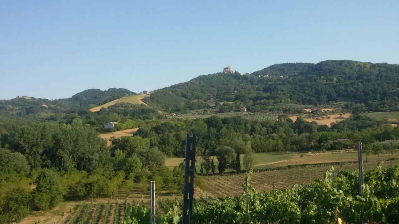 Il Vecchio Gelso - Agriturismo Rimini Montefiore Conca Villa Esterno foto