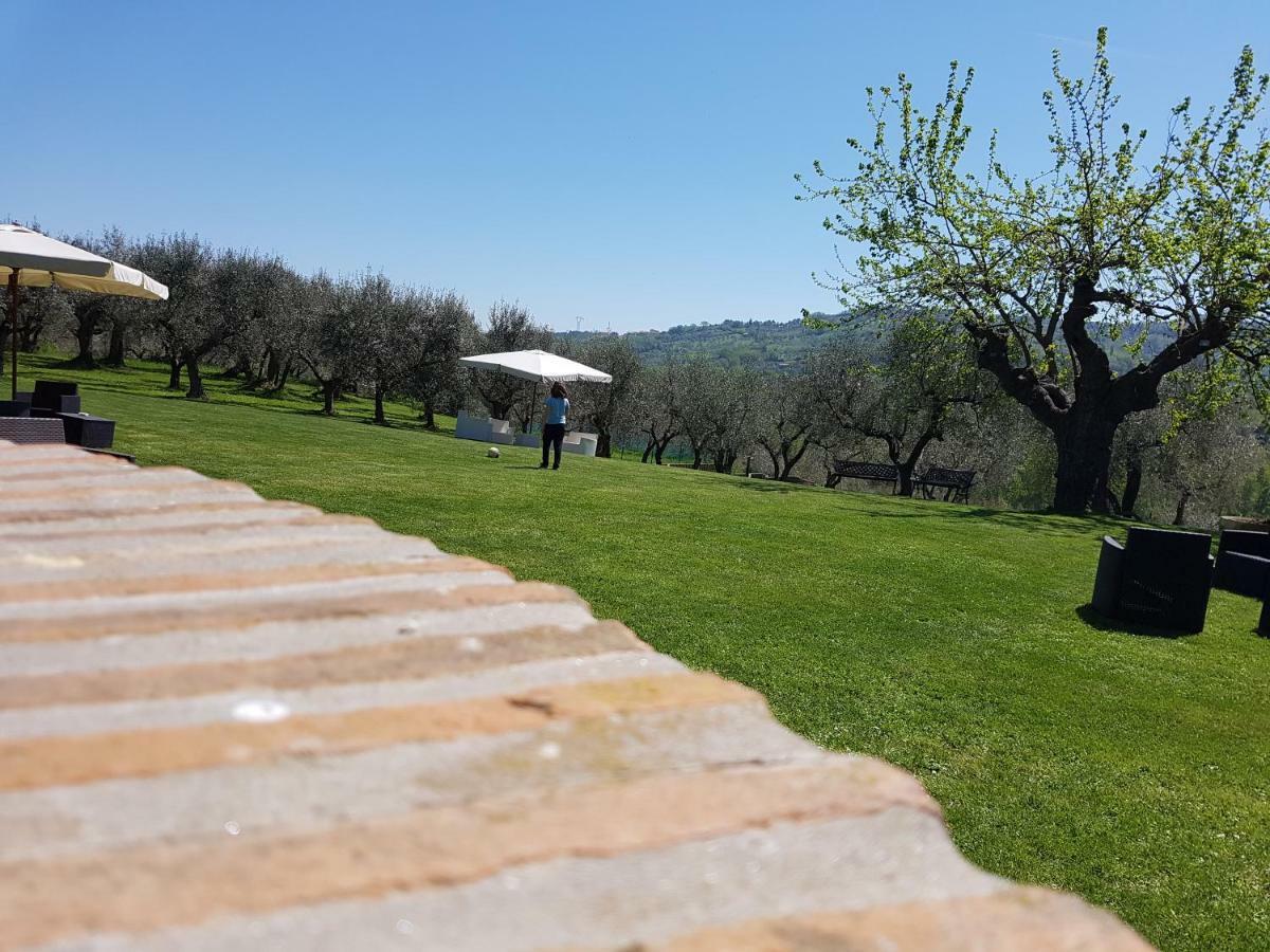 Il Vecchio Gelso - Agriturismo Rimini Montefiore Conca Villa Esterno foto