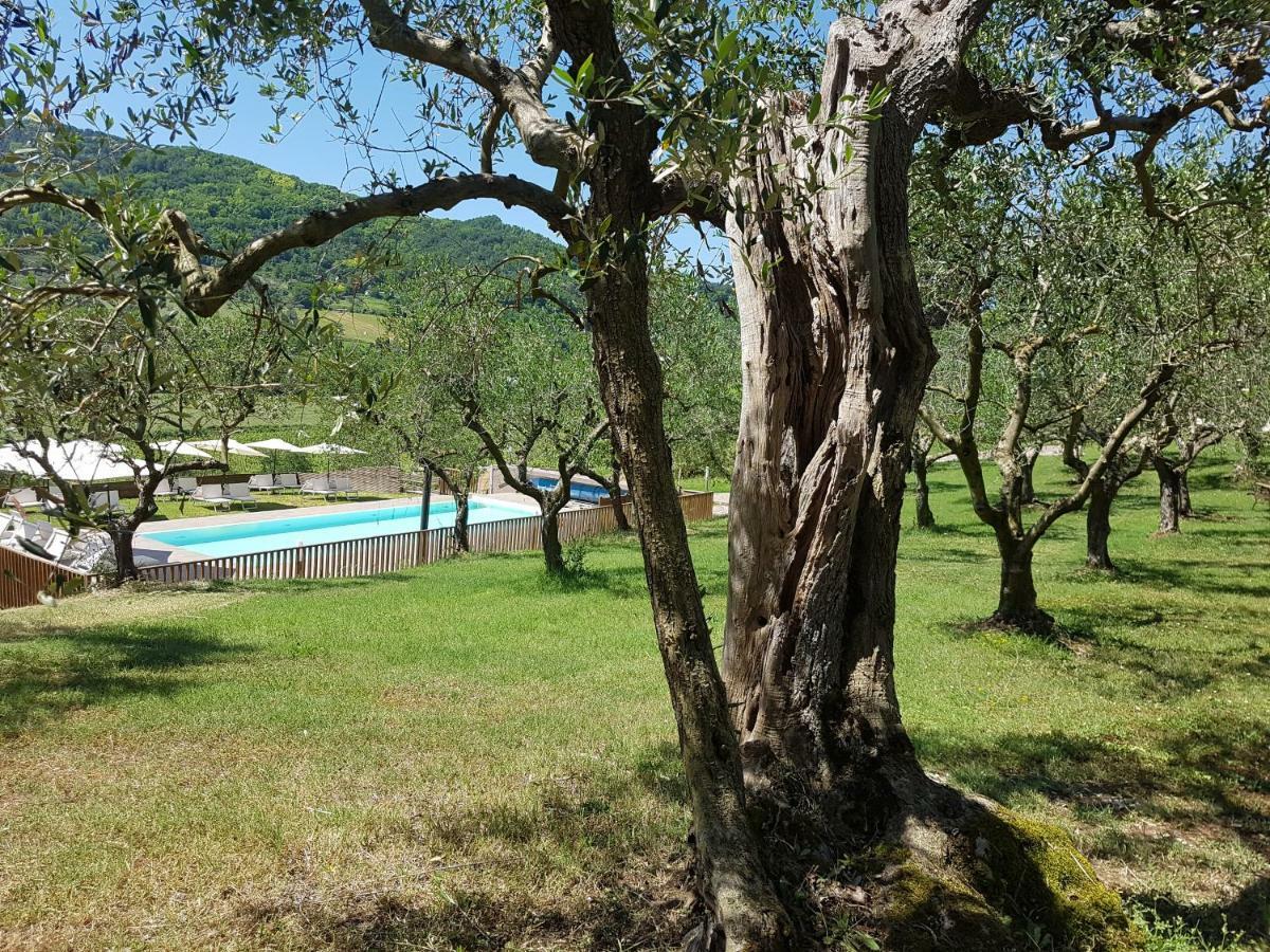 Il Vecchio Gelso - Agriturismo Rimini Montefiore Conca Villa Esterno foto