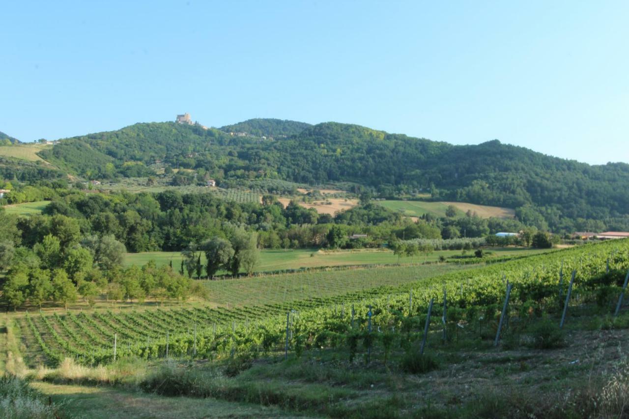 Il Vecchio Gelso - Agriturismo Rimini Montefiore Conca Villa Esterno foto