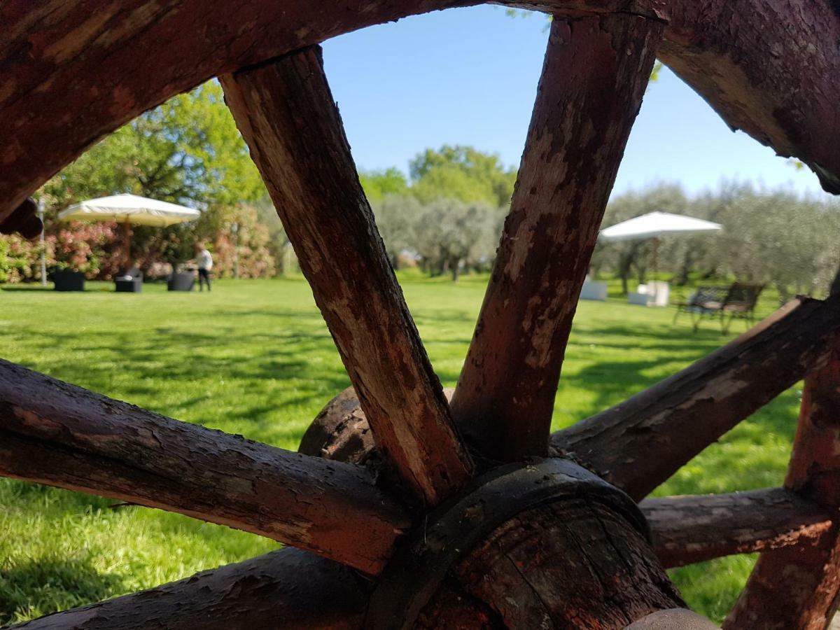 Il Vecchio Gelso - Agriturismo Rimini Montefiore Conca Villa Esterno foto
