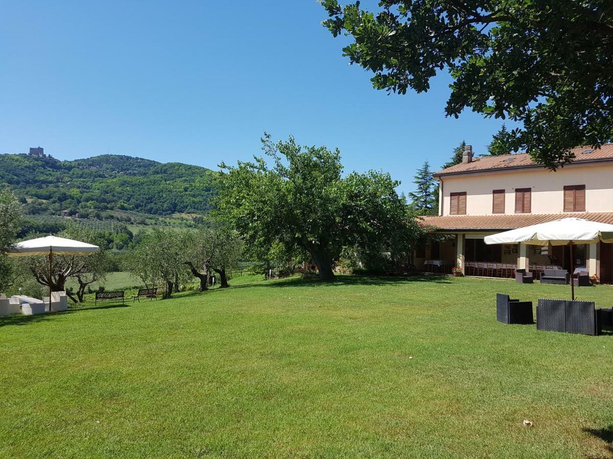 Il Vecchio Gelso - Agriturismo Rimini Montefiore Conca Villa Esterno foto