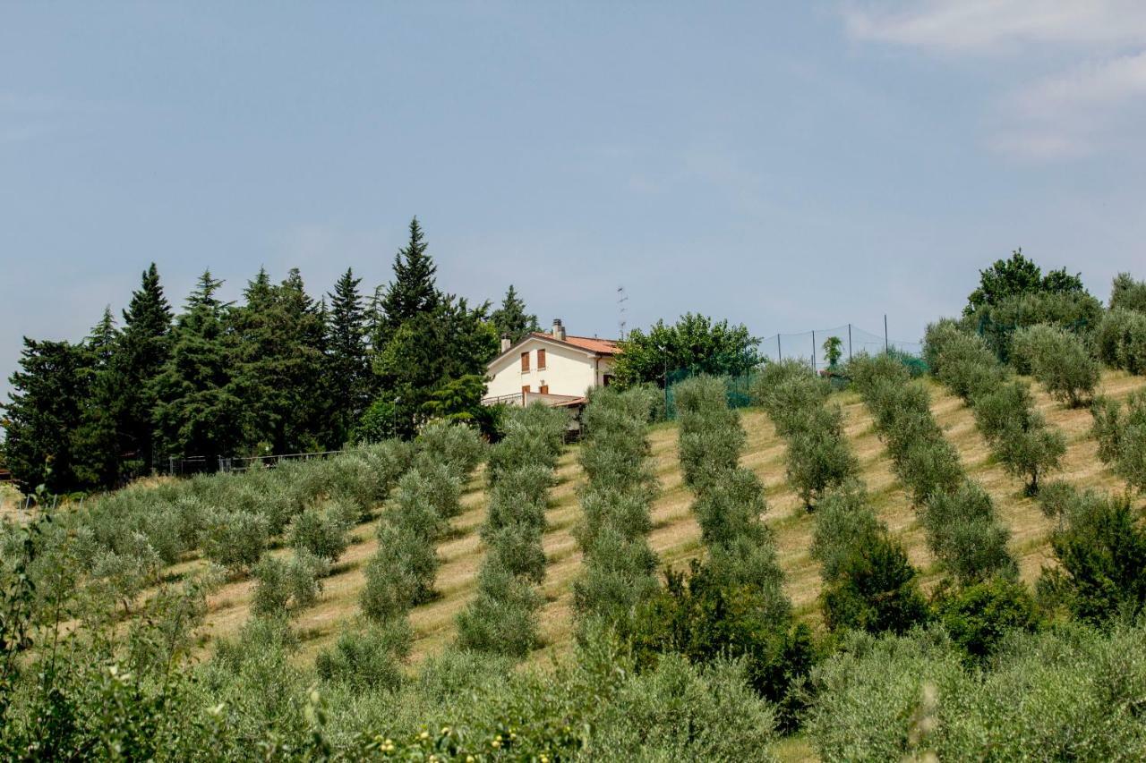 Il Vecchio Gelso - Agriturismo Rimini Montefiore Conca Villa Esterno foto