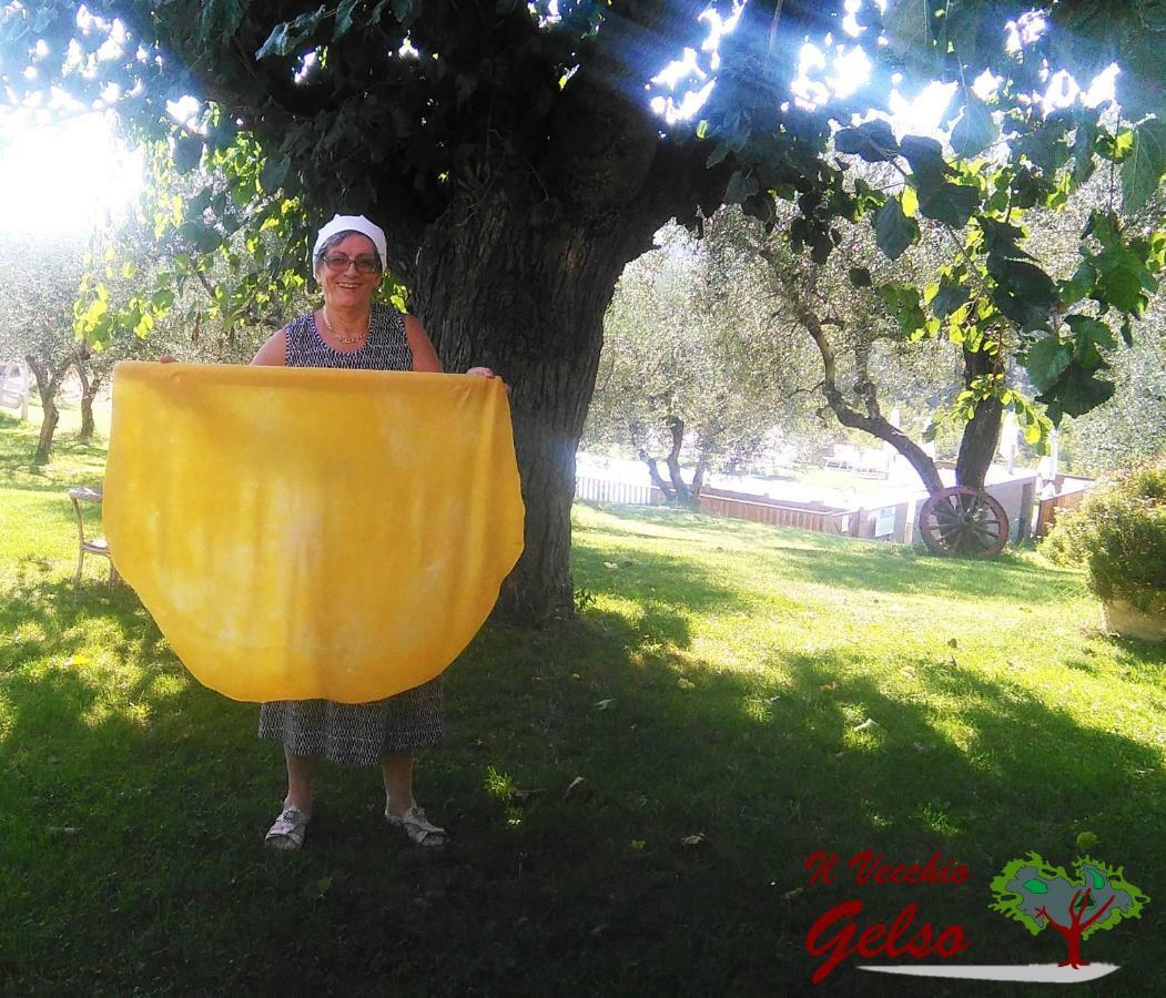 Il Vecchio Gelso - Agriturismo Rimini Montefiore Conca Villa Esterno foto