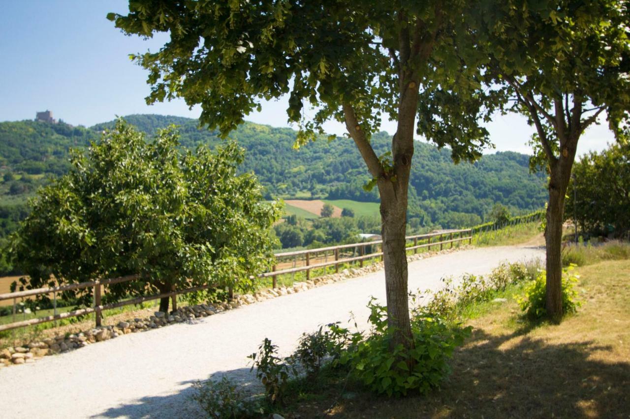 Il Vecchio Gelso - Agriturismo Rimini Montefiore Conca Villa Esterno foto