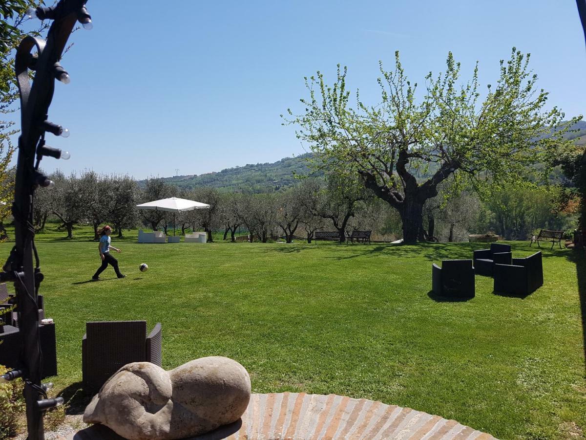 Il Vecchio Gelso - Agriturismo Rimini Montefiore Conca Villa Esterno foto
