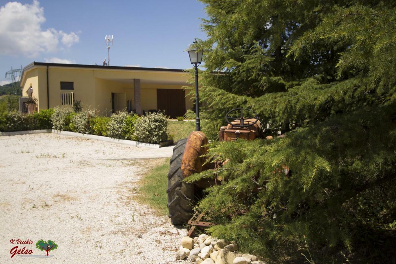 Il Vecchio Gelso - Agriturismo Rimini Montefiore Conca Villa Esterno foto