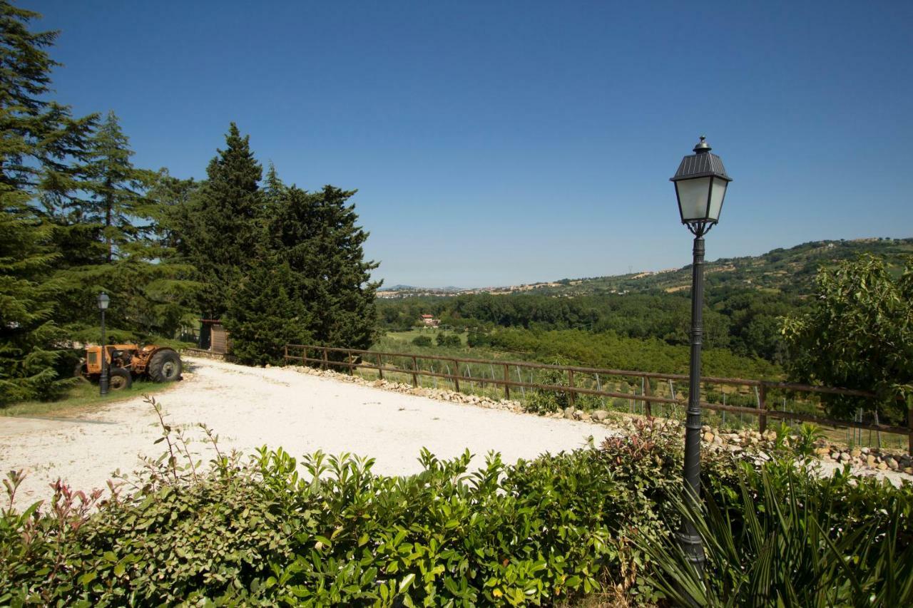 Il Vecchio Gelso - Agriturismo Rimini Montefiore Conca Villa Esterno foto