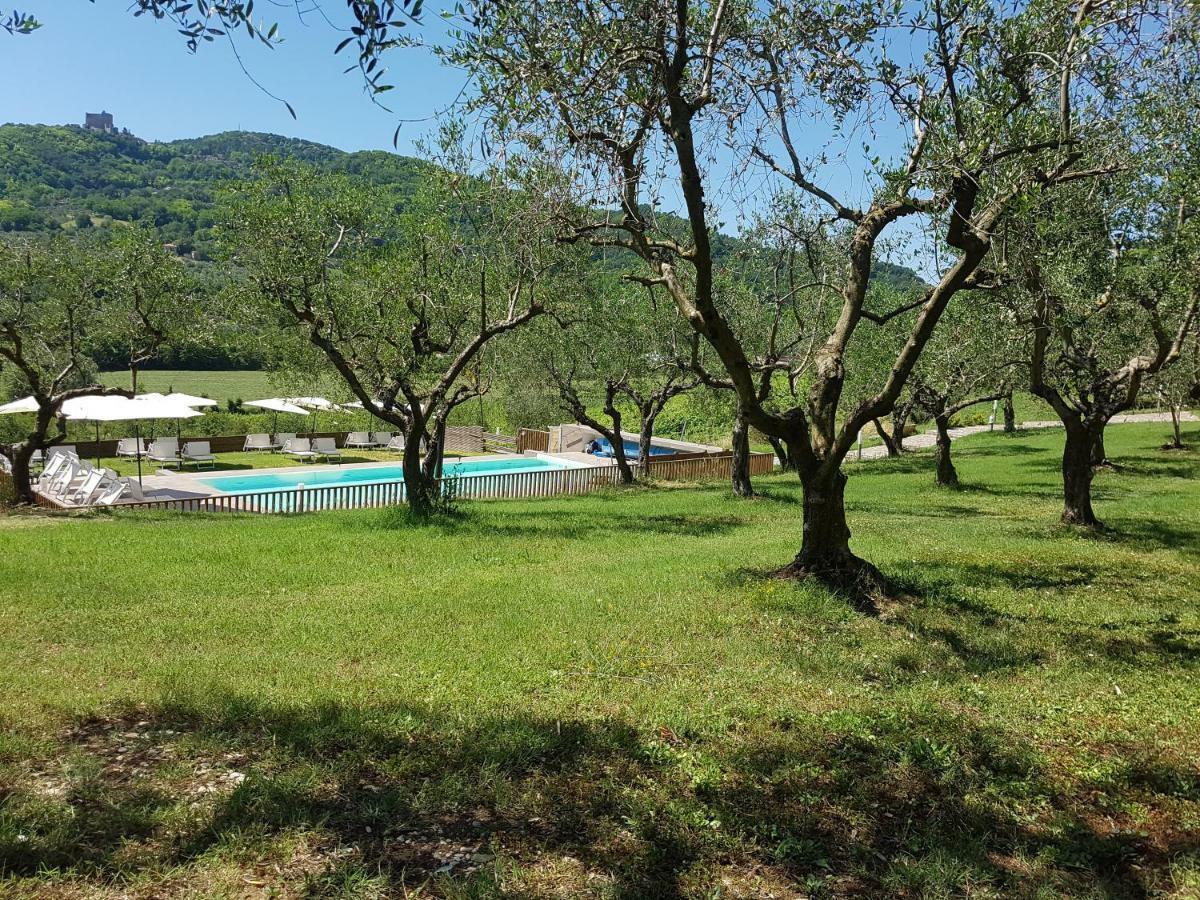 Il Vecchio Gelso - Agriturismo Rimini Montefiore Conca Villa Esterno foto