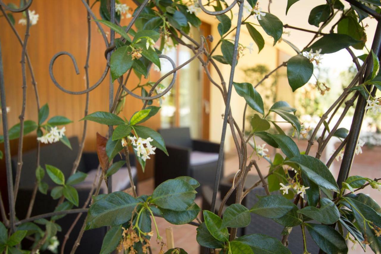 Il Vecchio Gelso - Agriturismo Rimini Montefiore Conca Villa Esterno foto