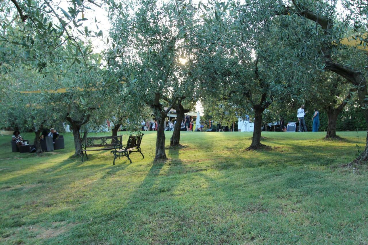Il Vecchio Gelso - Agriturismo Rimini Montefiore Conca Villa Esterno foto
