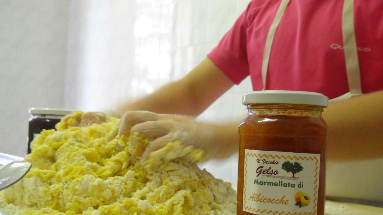 Il Vecchio Gelso - Agriturismo Rimini Montefiore Conca Villa Esterno foto